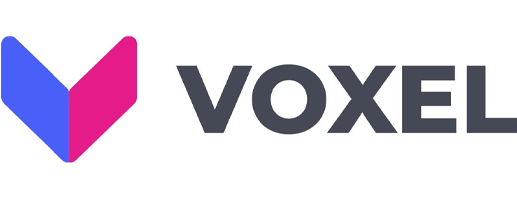 Voxel